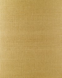 BA435 Taupe Sisal Grasscloth Page 35 by   