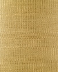 BA435 Taupe Sisal Grasscloth Page 35 by  Washington Wallcoverings 