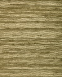 BA436 Moss Brown Jute Grasscloth Page 36 by   
