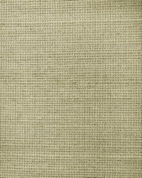 BA437 Gray Sisal Metallic Strand Grasscloth Page 37 by   