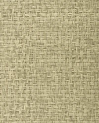 BA439 Ash Gray Paperweave Grasscloth Page 39 by   
