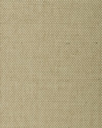 BA445 Beige Paperweave Grasscloth Page 45 by   