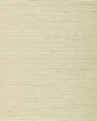 BA446 White Sisal Grasscloth Page 46 by  Kasmir 