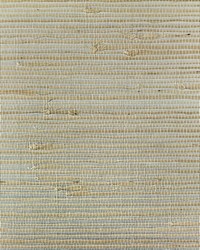 BA449 White Jute Grasscloth Page 49 by  Kasmir 