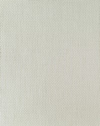 BA450 White Paperweave Grasscloth by   