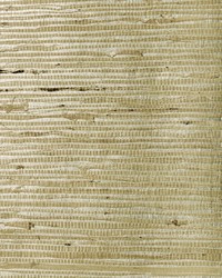 BA452 Arrowroot Natural Grasscloth by   