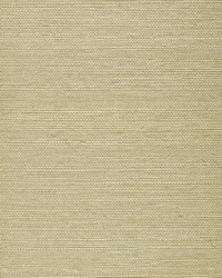 BA468 Pale Taupe Sisal by   
