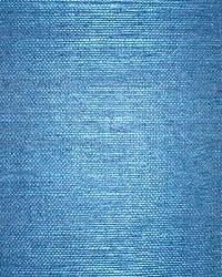 D41047 bottle blue sisal grasscloth Page 15 by  Washington Wallcoverings 