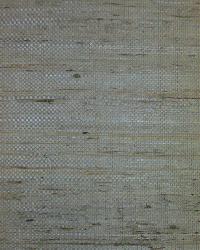 D90062 Tan Weave Grasscloth by   