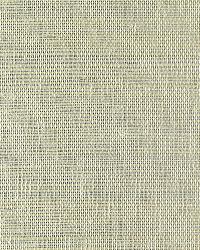 EW3124 Cool White Sisal Grasscloth Page 24 by   