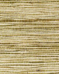 EW3135 Olive Blend Jute Grasscloth Page 35 by   