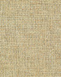 EW3142 Blue Blend Paperweave Grasscloth Page 42 by   