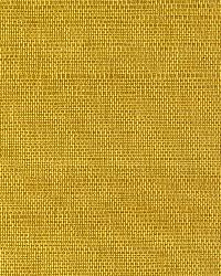 EW3162 Tropic Gold Sisal Grasscloth Page 62 by   