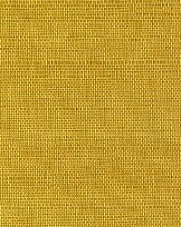 EW3162 Tropic Gold Sisal Grasscloth Page 62 by  Washington Wallcoverings 