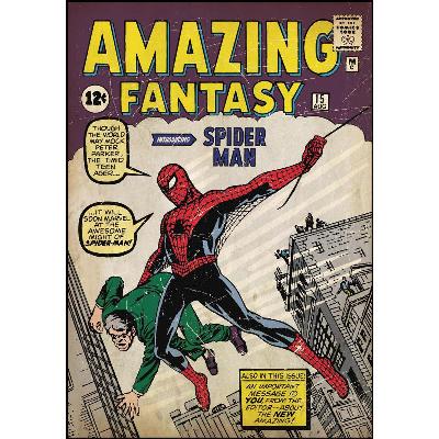 Comic Book Cover - Spiderman #1 Peel & Stick Comic Book Cover
