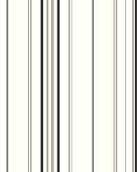 Wide Pinstripe SA9109 by  Washington Wallcoverings 