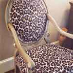 Animal Print Fabrics
