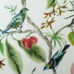 Bird Fabric - Songbird and Peacock Prints Bird Fabric - Songbird - Peacock - Heron and Feather Prints