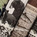 Lodge Fabric - Deer Fabric - Wildlife Fabric