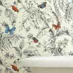 Butterfly Wallpapers