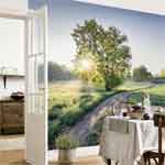 Wall Murals and kids murals for home decorating.