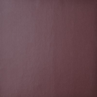 AVEIRO                         62 CRIMSON in EASY RIDER III POLYURETHANE  Blend Solid Faux Leather  Fabric