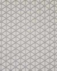 Avedon 397 Moon by  Duralee 