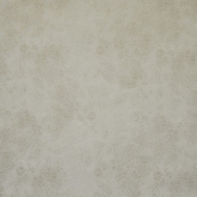 Atacama 162 Marble in COLOR WAVES-NEUTRAL TERRITORY Upholstery POLYESTER  Blend Fire Rated Fabric Heavy Duty Solid Faux Leather CA 117  NFPA 260   Fabric