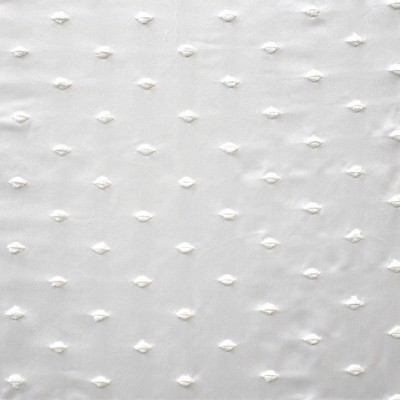 Amici 731 Ivory in COLOR THEORY VOL. V - CAFFE LATTE Beige Multipurpose POLYESTER
None Polka Dot  Embroidered Satin   Fabric