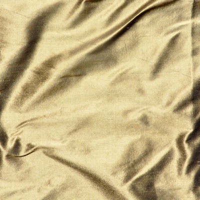 Anisha 107 Elmwood in TELAFINA XIV Drapery SILK Solid Silk   Fabric