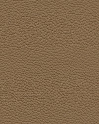 Andalusia-nj 613 Seed by   