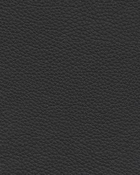 Andalusia-nj 614 Graphite by   