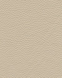 Andalusia-nj 615 Prosecco by   