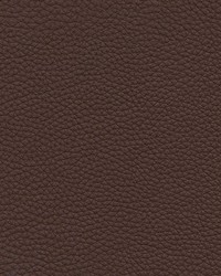 Andalusia-nj 616 Grizzly by   