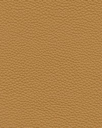 Andalusia-nj 617 Biscuit by   