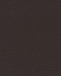 Andalusia-nj 619 Mocha by   