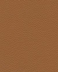 Andalusia-nj 621 Maple by   