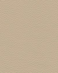 Andalusia-nj 622 Cookie Dough by   