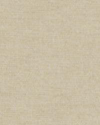 Adagio 821 Marzipan by   