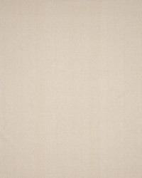 Alberta 640 Oatmeal by  Clarke and Clarke Wallpaper 