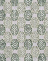 Arborio 351 Celadon by   