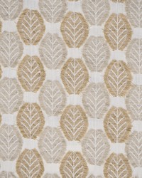 Arborio 614 Wheat by  Clarke and Clarke Wallpaper 