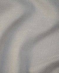 Aquilano 302 Mouse by   