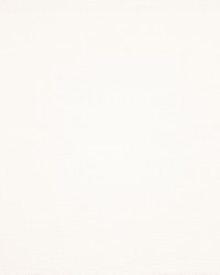 Aiken 234 Arctic by  Silver State 