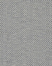 Basket Case 1021 Pure by  Maxwell Fabrics 