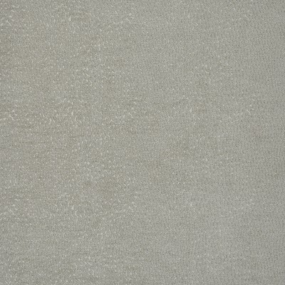 Bitsy 717 Fieldmouse in PW-VOL.II CANYON Upholstery VISCOSE/26%  Blend Fire Rated Fabric Heavy Duty CA 117  NFPA 260   Fabric