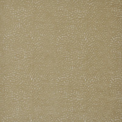 Bitsy 722 Grain in PW-VOL.II CANYON Green Upholstery VISCOSE/26%  Blend Fire Rated Fabric Heavy Duty CA 117  NFPA 260   Fabric
