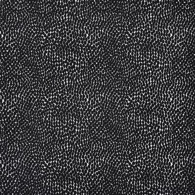 Bitsy 928 Panther in PW-VOL.II SHADOW & LIGHT Upholstery VISCOSE/26%  Blend Fire Rated Fabric Heavy Duty CA 117  NFPA 260   Fabric