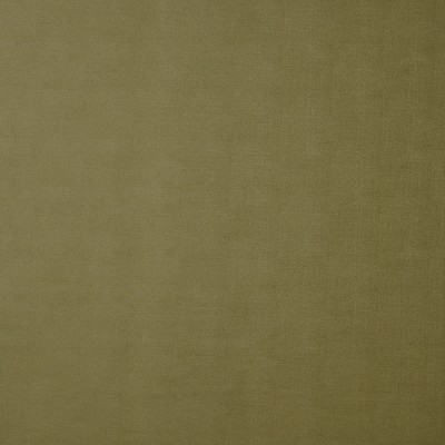 Bilbao 55 Fennel in EASY RIDER III POLYURETHANE  Blend Fire Rated Fabric High Wear Commercial Upholstery Solid Faux Leather CA 117  NFPA 260   Fabric