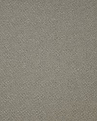 Broome-ess 160 Chinchilla by  Maxwell Fabrics 